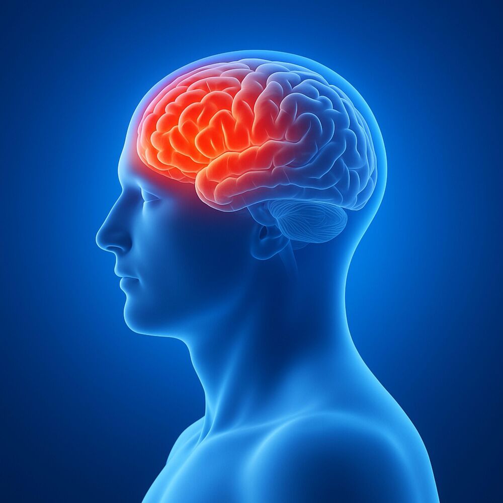 Picture of Vagus Nerve Harmonic Reset & Bioelectric Vibration