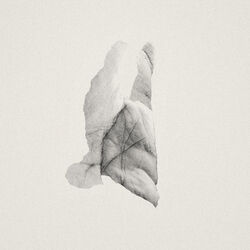Cover of Sleep Heavy