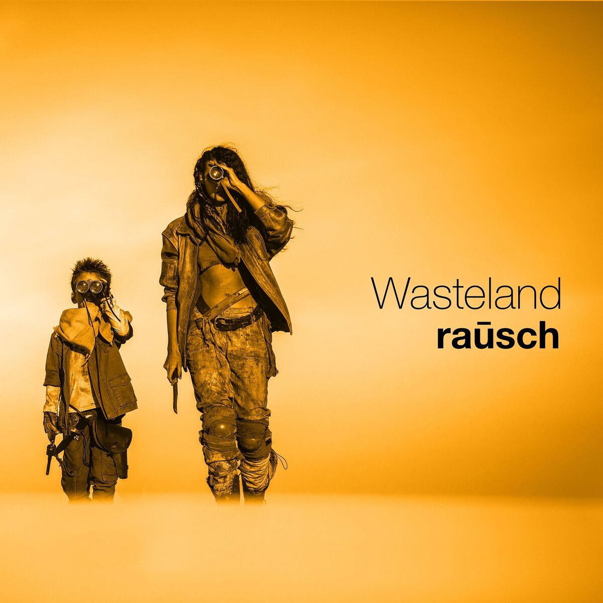Album cover of Wasteland