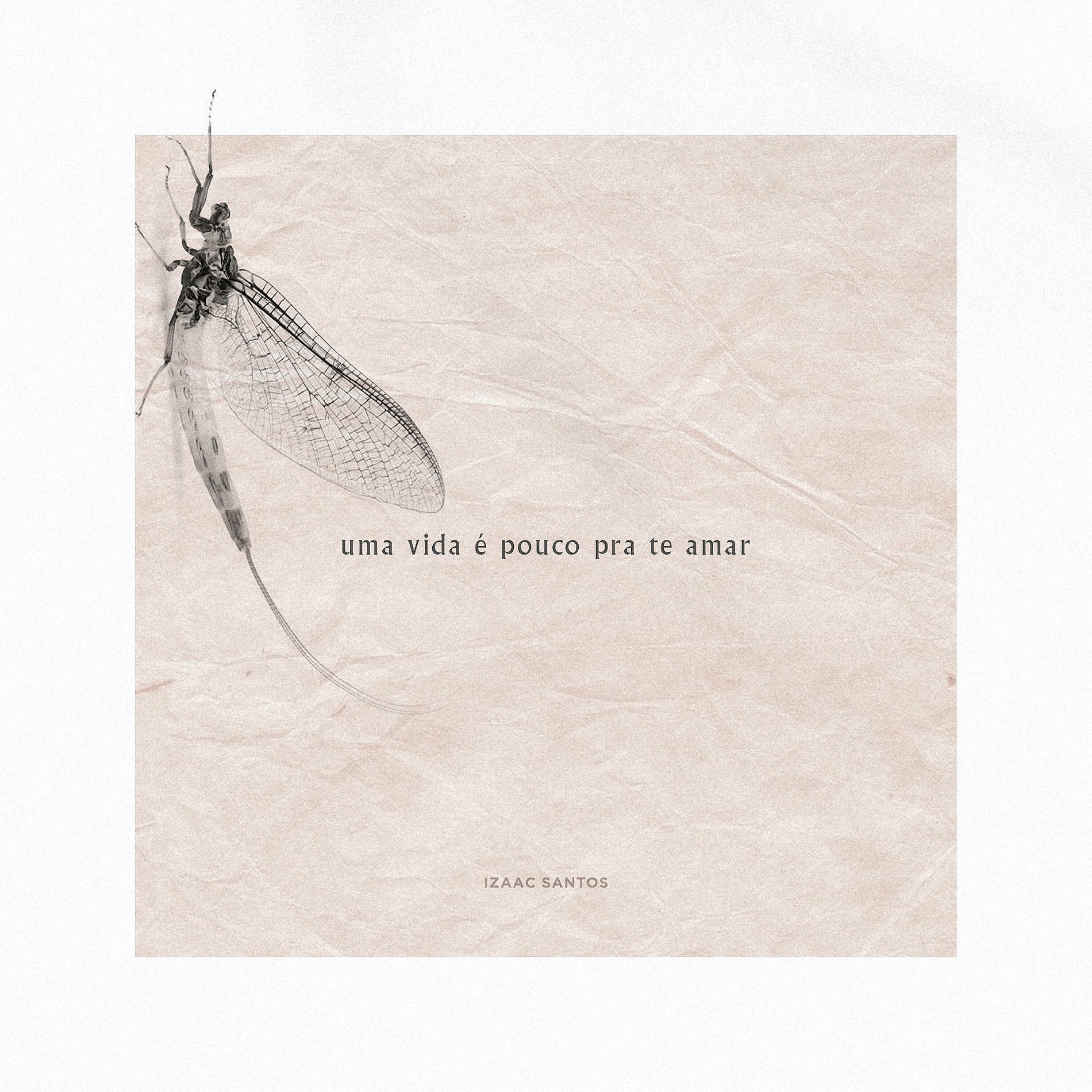 Album cover of Uma Vida é Pouco pra Te Amar