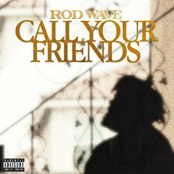 Cover of Call Your Friends