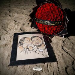 Cover of Por Nada Te Cambio