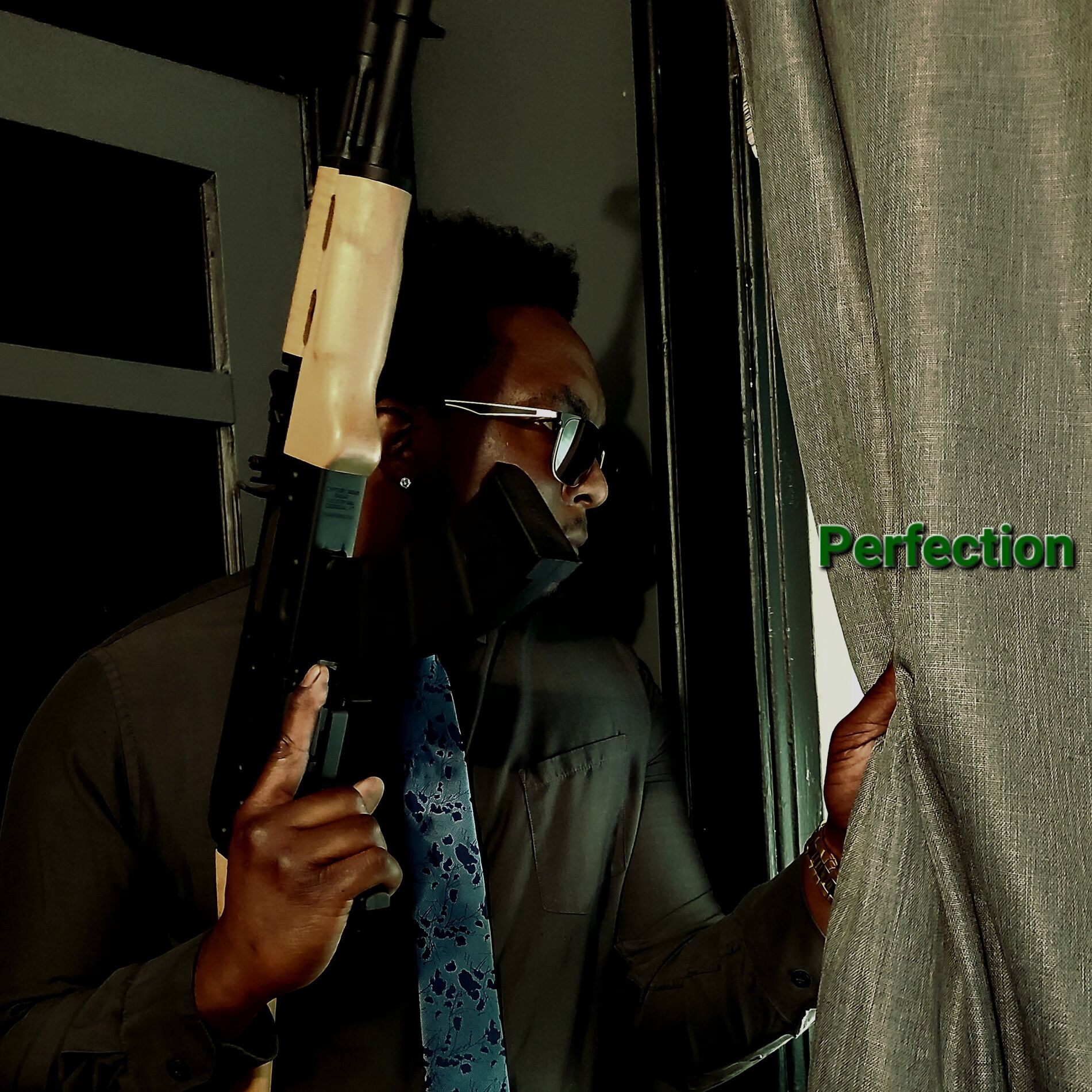 Album cover of Perfection (feat. Musicality)