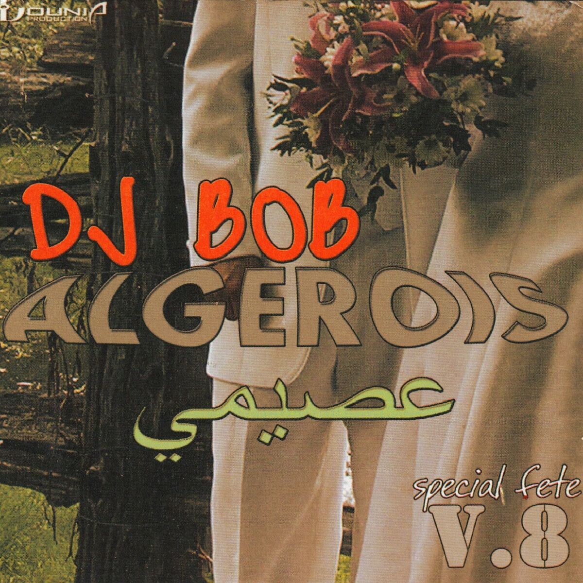 Album cover of ALGEROIS - Spécial Fetes,Vol. 8