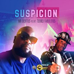 Cover of Suspicion