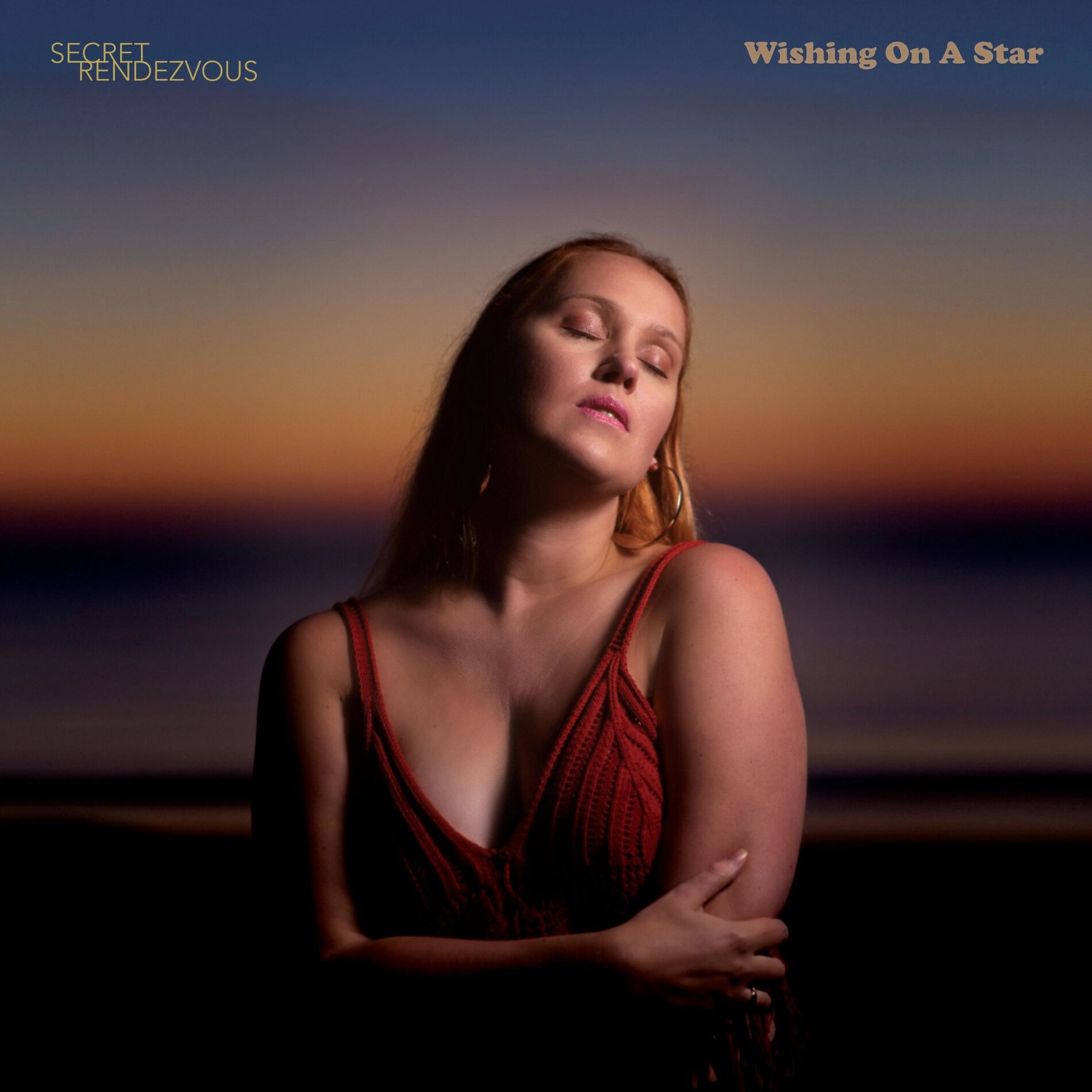 Album cover of Wishing On A Star