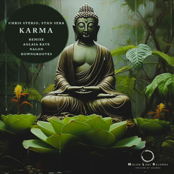 Cover of Karma by undefined
