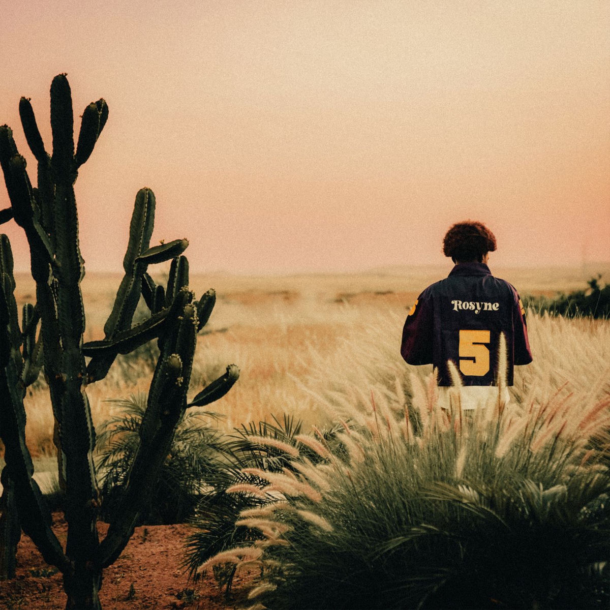 Album cover of UN ÉTÉ À CTN