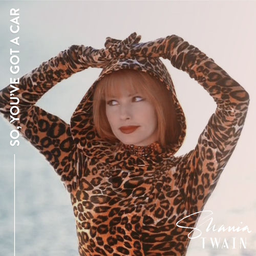 Portada de So, You've Got A Car