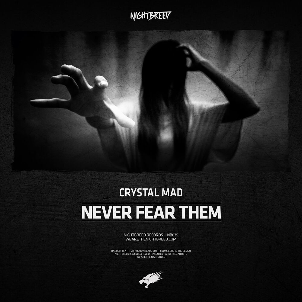 Picture of Never Fear Them