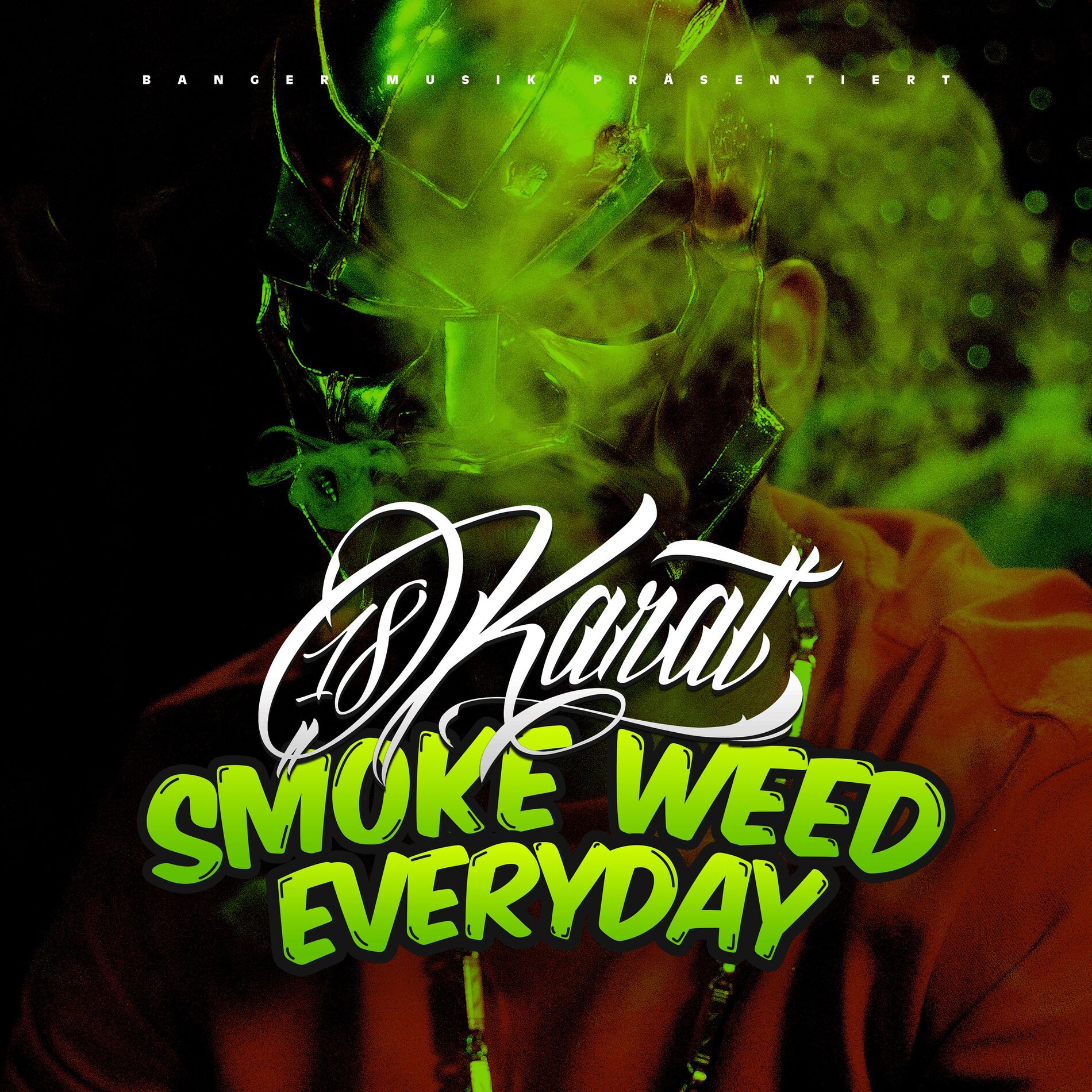 Album cover of SMOKE WEED EVERYDAY