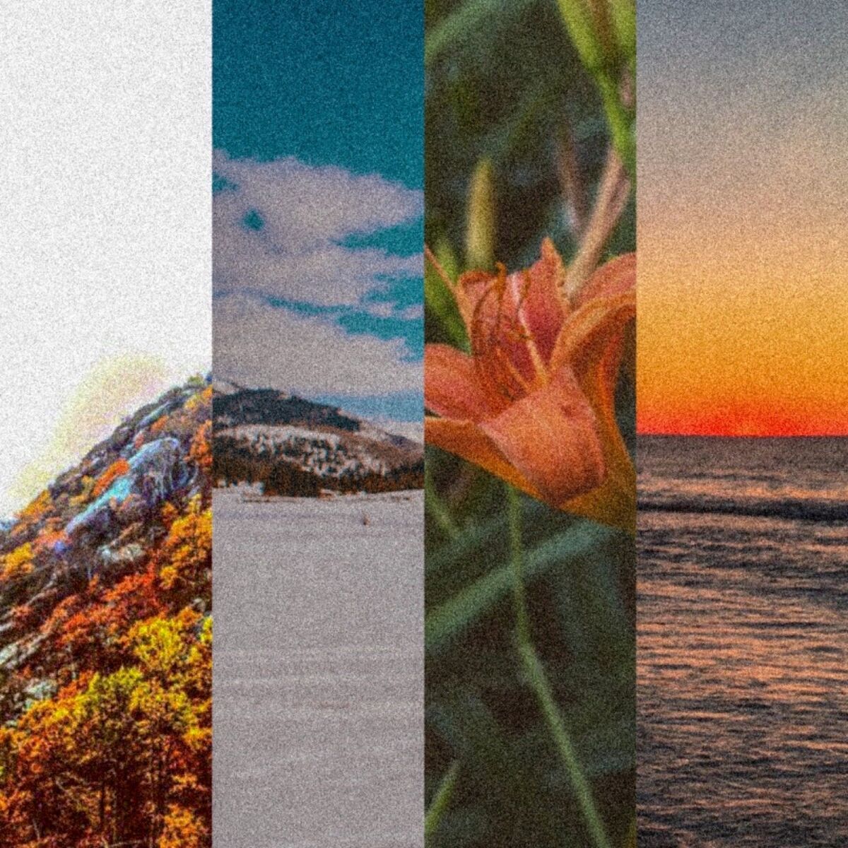 Album cover of Seasons