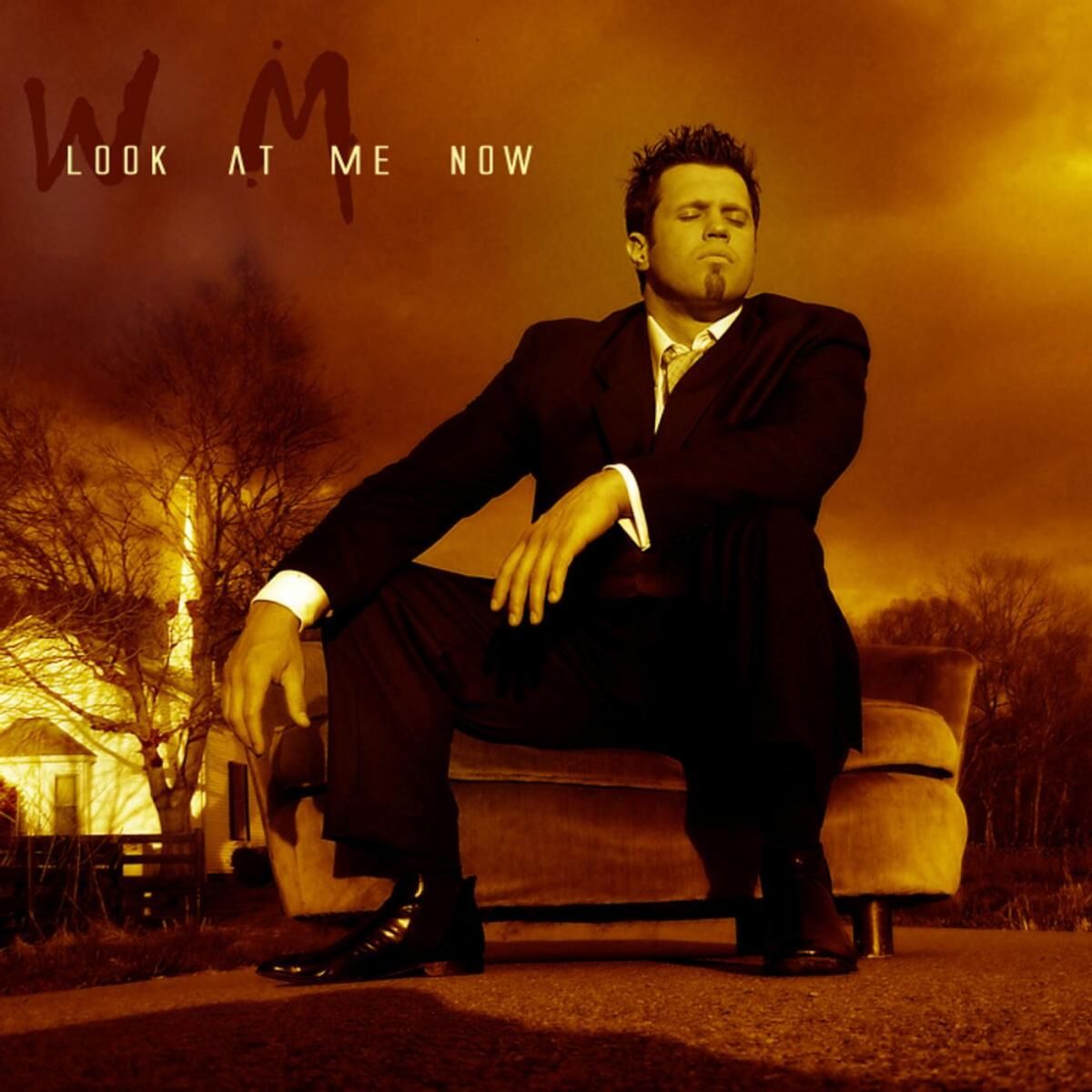 Album cover of You Gave Me Hope