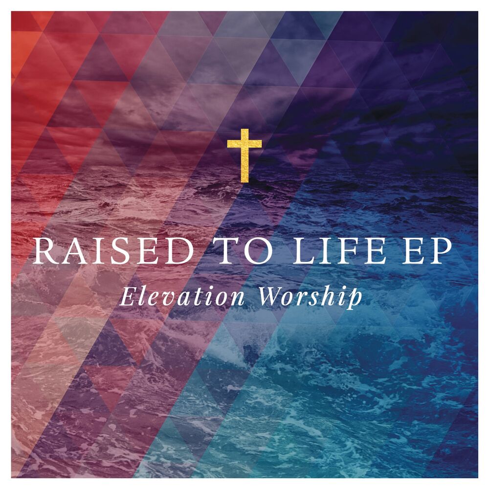 Picture of Raised to Life