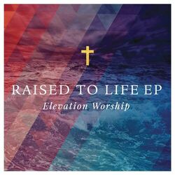 Cover of Raised to Life