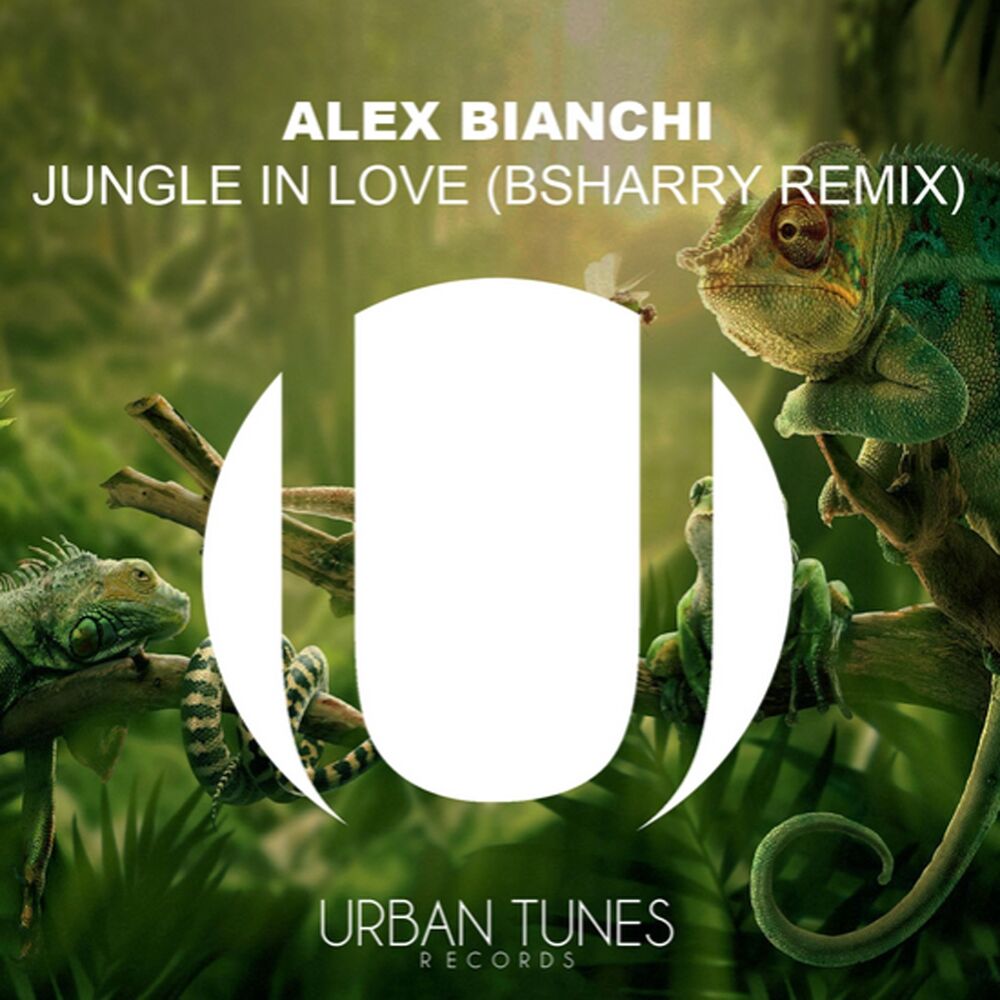 Picture of Jungle in Love (Bsharry Remix)