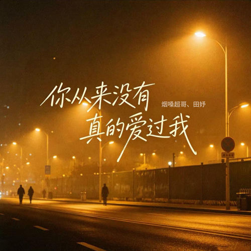 你从来没有真的爱过我