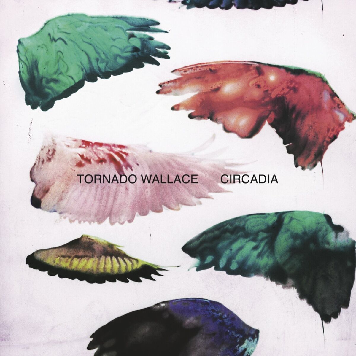 Album cover of Circadia