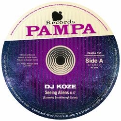 Cover of Seeing Aliens