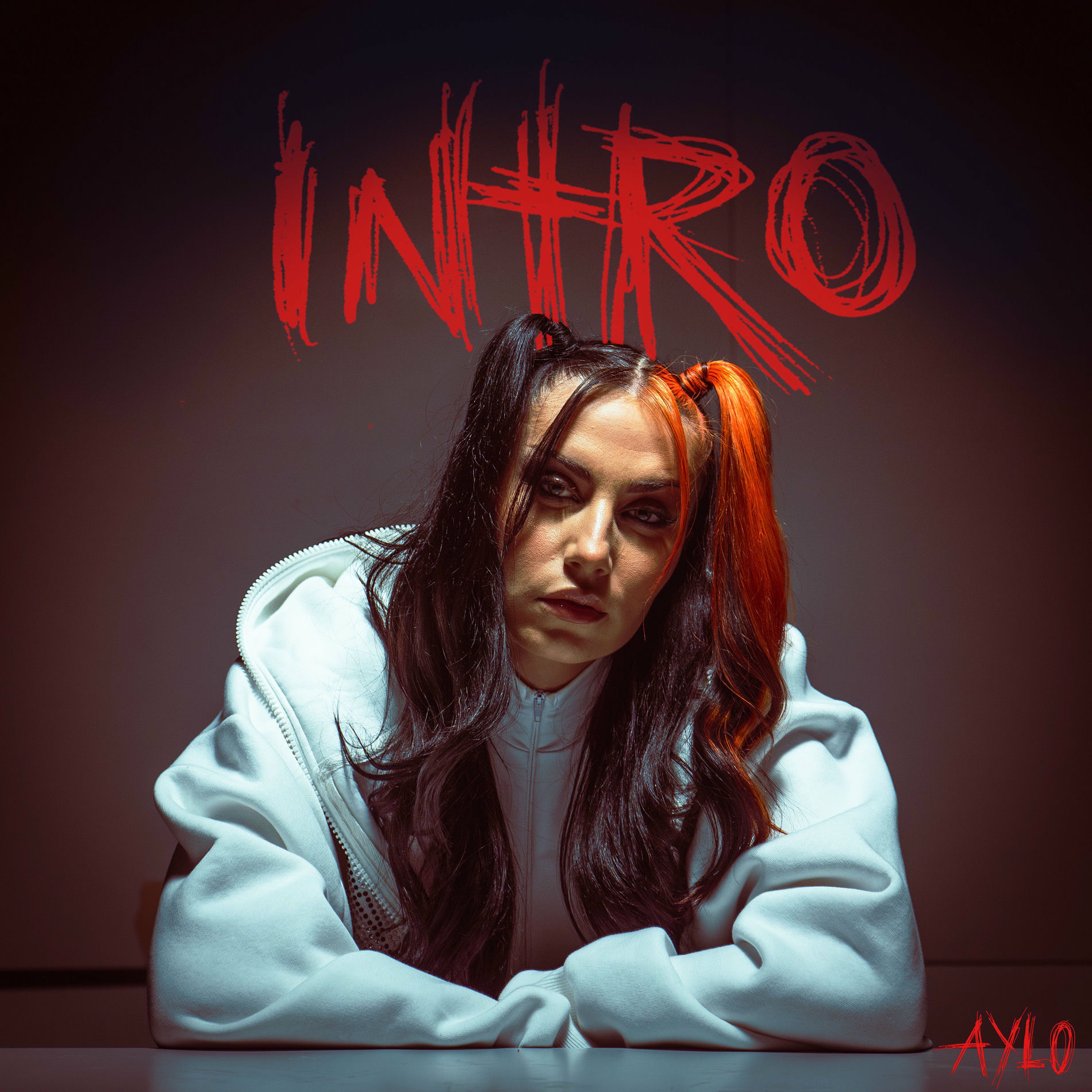 Album cover of Intro