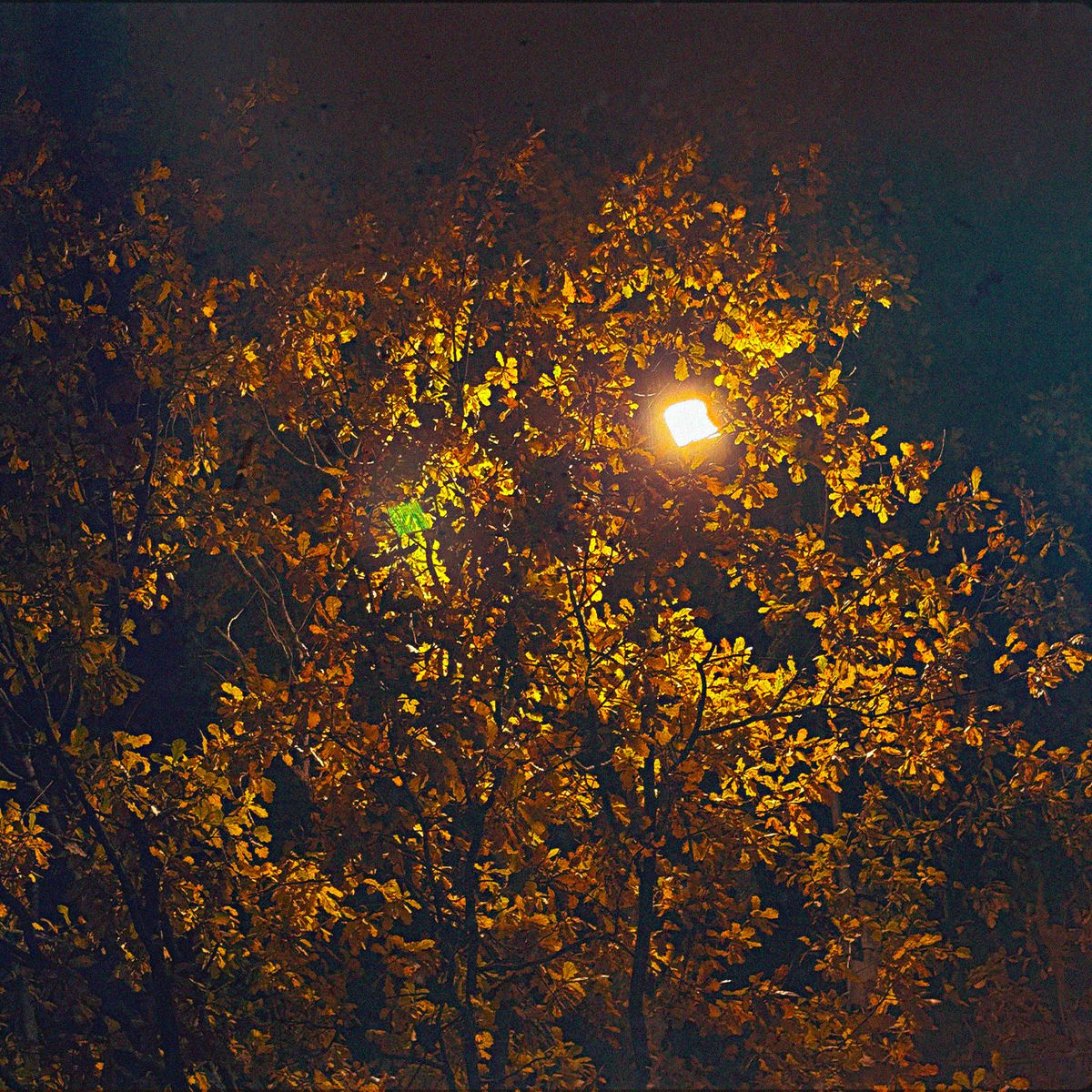 Album cover of поздней ночью