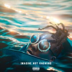 Cover of Imagine Not Knowing