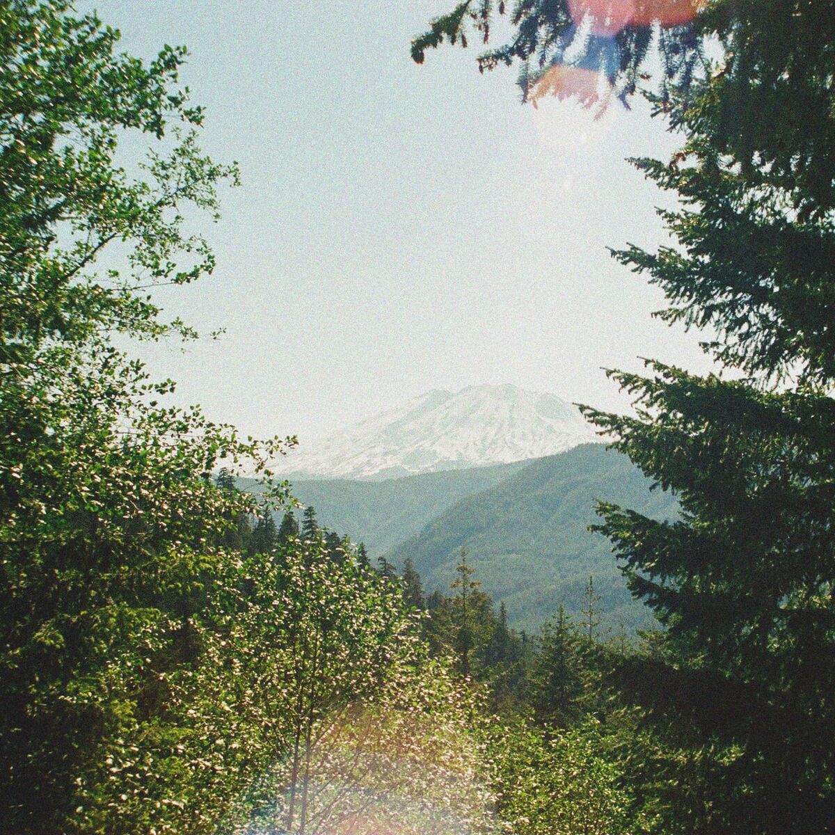 Album cover of Seclusion