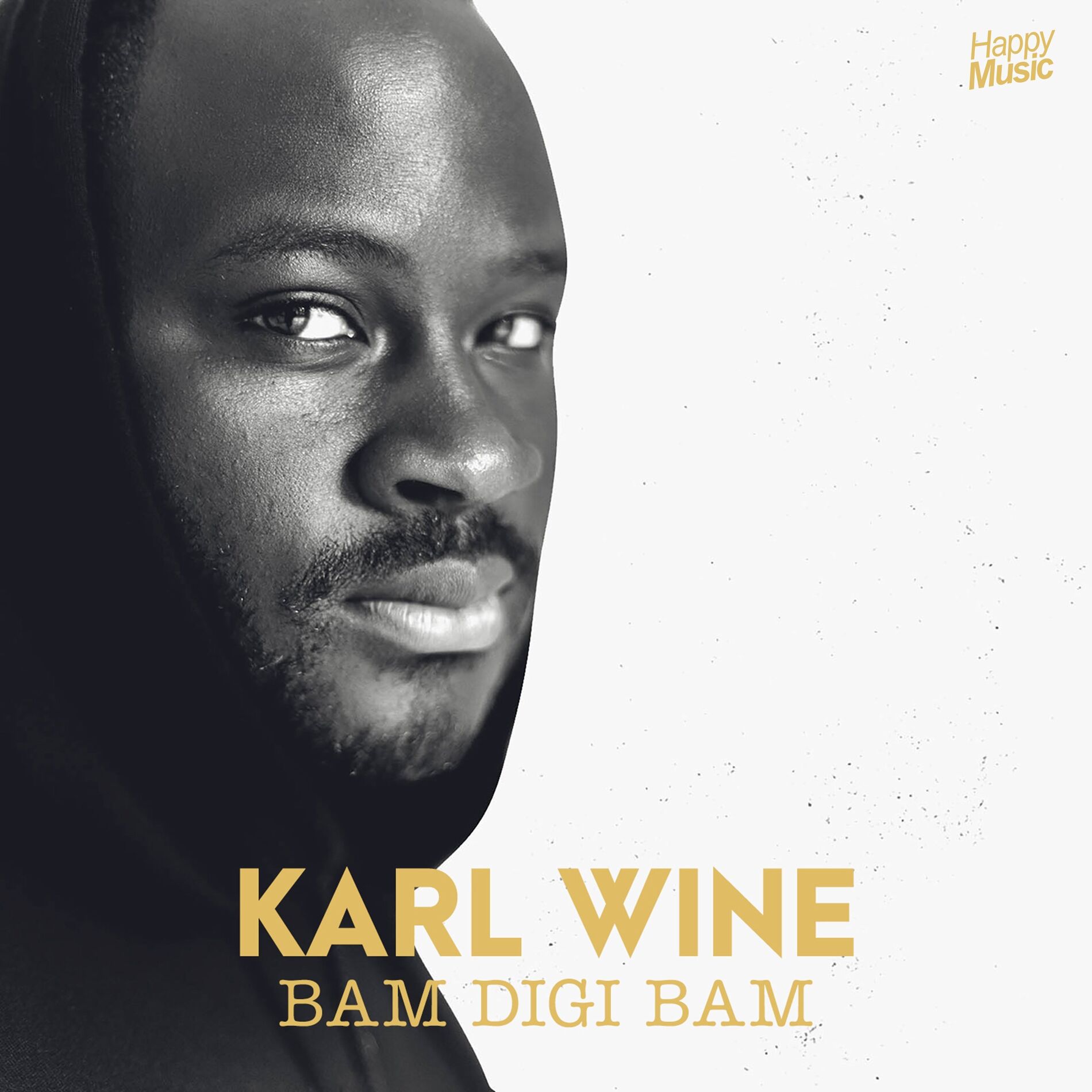 Album cover of Bam Digi Bam