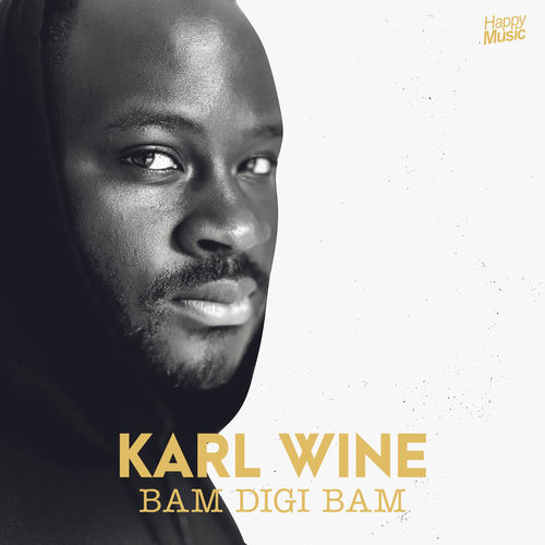 Bam Digi Bam by Karl Wine - 101 BPM
