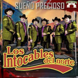 Cover of Sueno Precioso