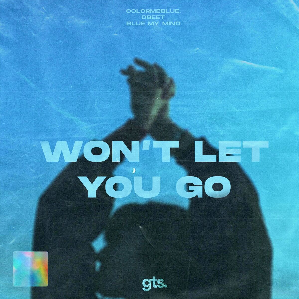 Album cover of Won't Let You Go