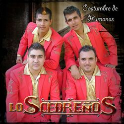 Cover of Costumbre De Humanos