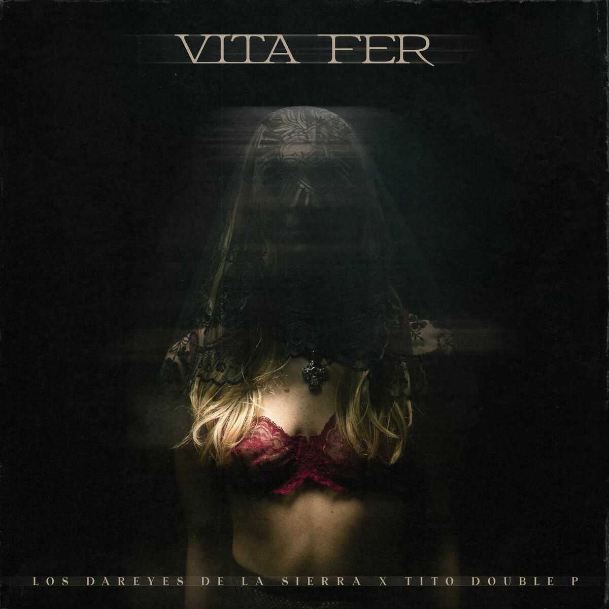 Album cover of Vita Fer