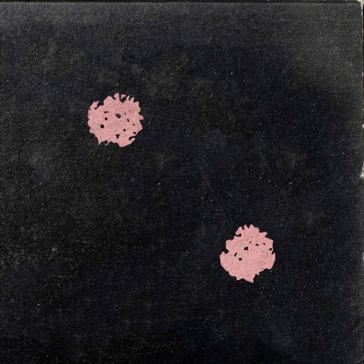 Album cover of Squalls, Vol. 2