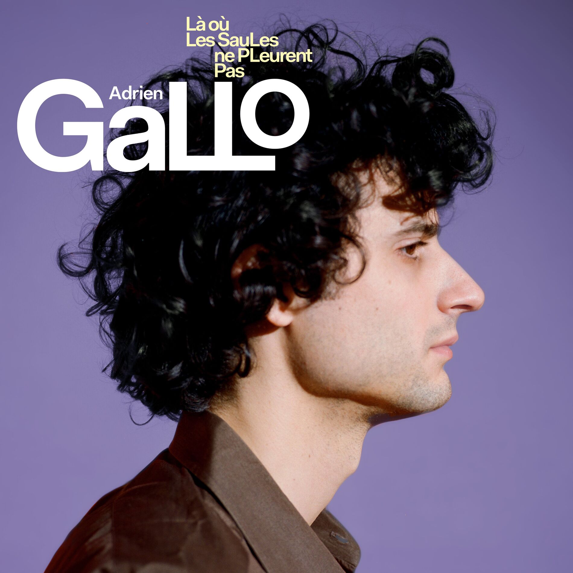 Album cover of Là où les saules ne pleurent pas