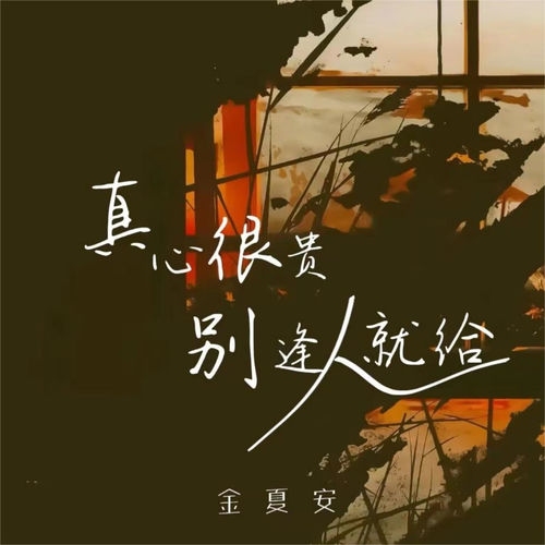 真心很贵别逢人就给 (伤感女版)