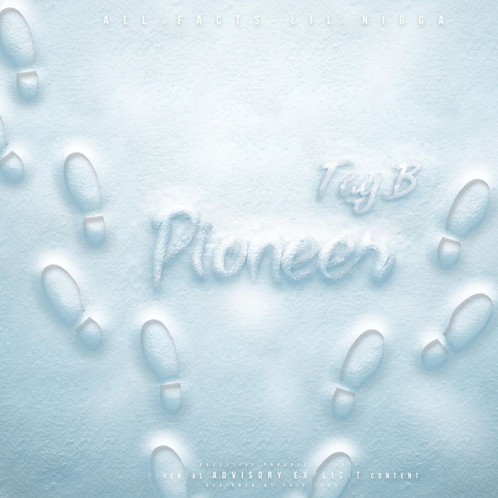 Picture of Pioneer