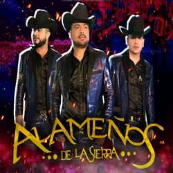 Cover of En Vivo Con Requinto