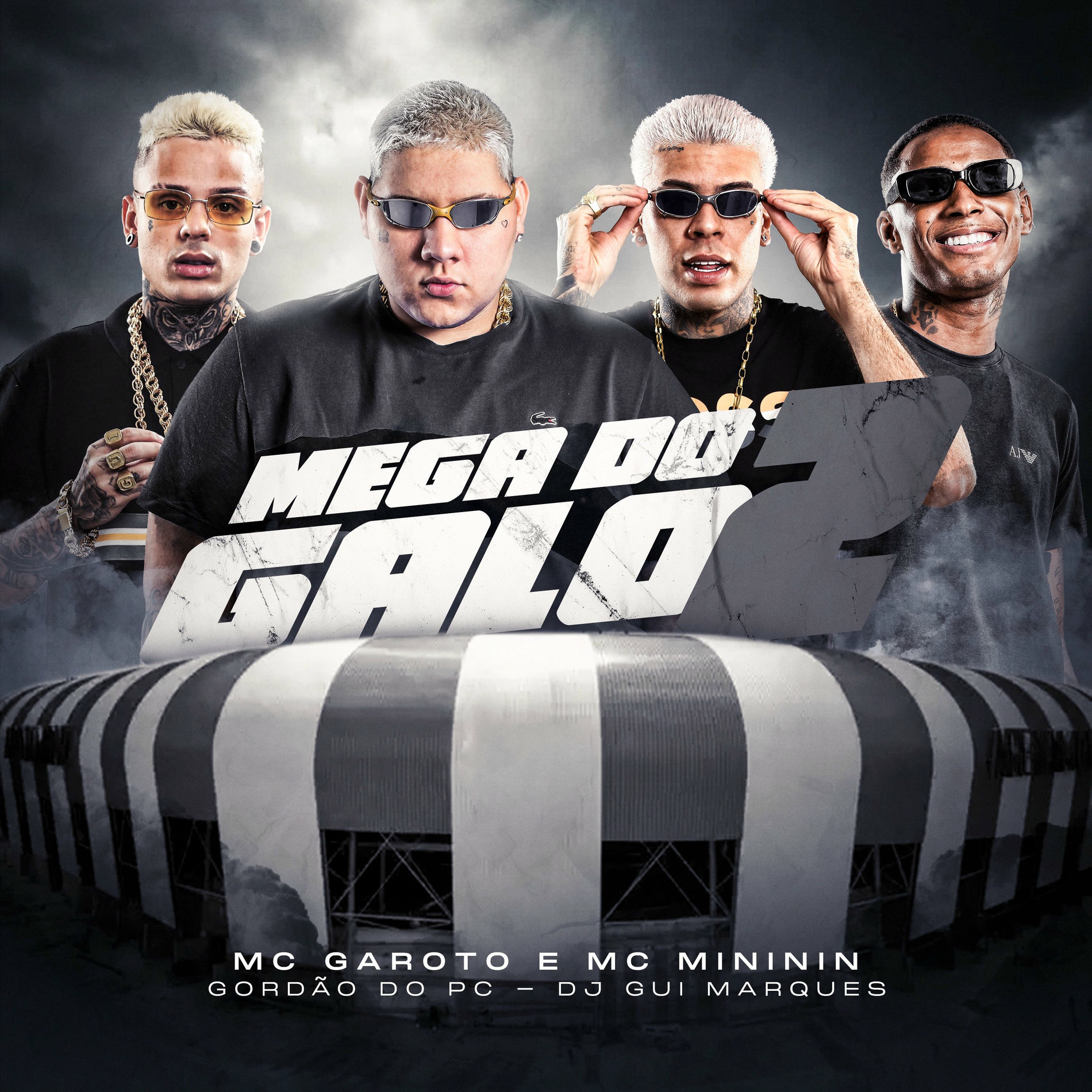 Album cover of Mega do Galo 2