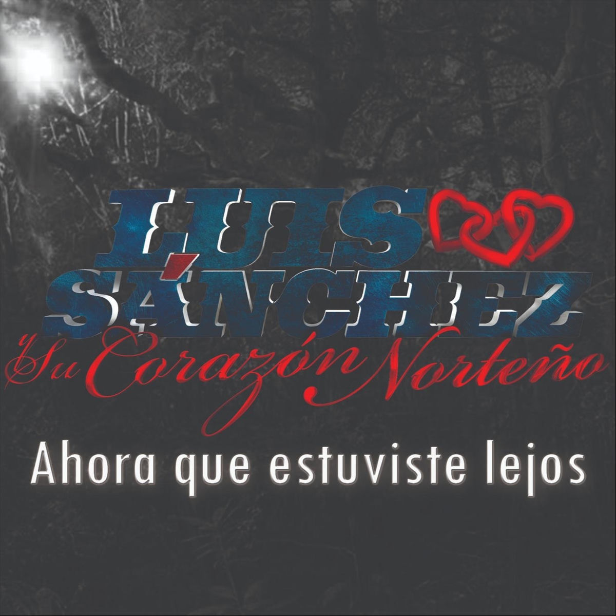 Album cover of Ahora Que Estuviste Lejos