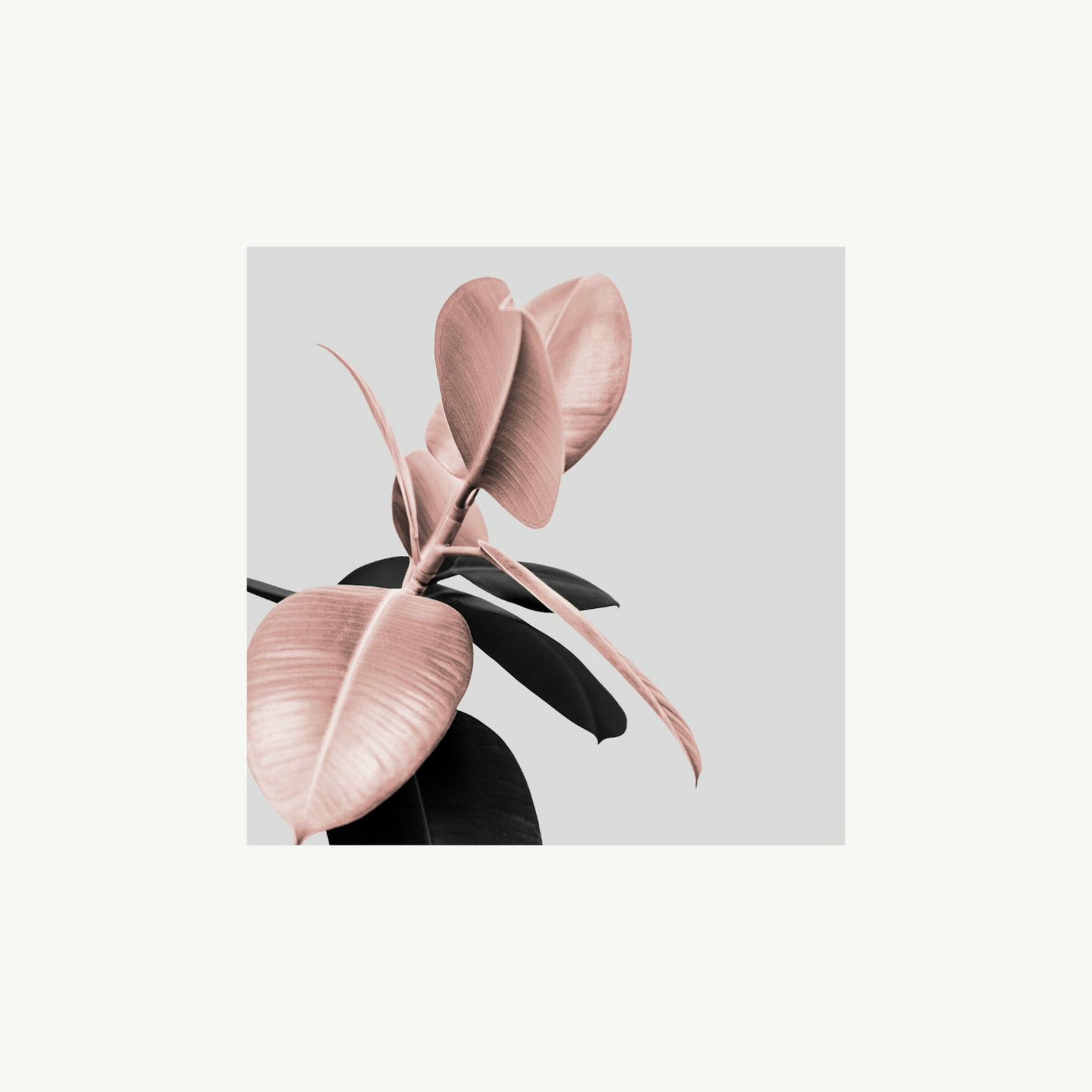 Album cover of Body