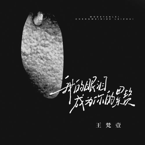 我的眼泪成为你的累赘