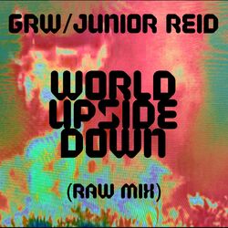 Cover of World Upside Down (Raw Mix)