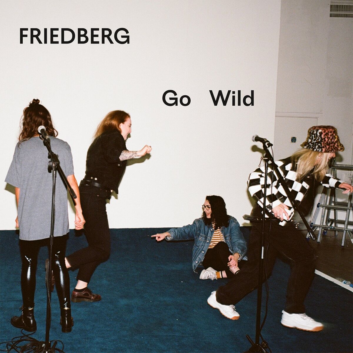 Album cover of Go Wild