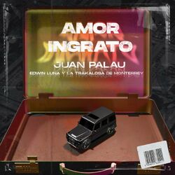 Cover of Amor Ingrato