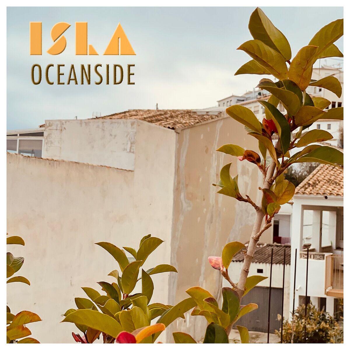 Album cover of Oceanside