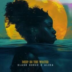 Cover of Deep in the Water