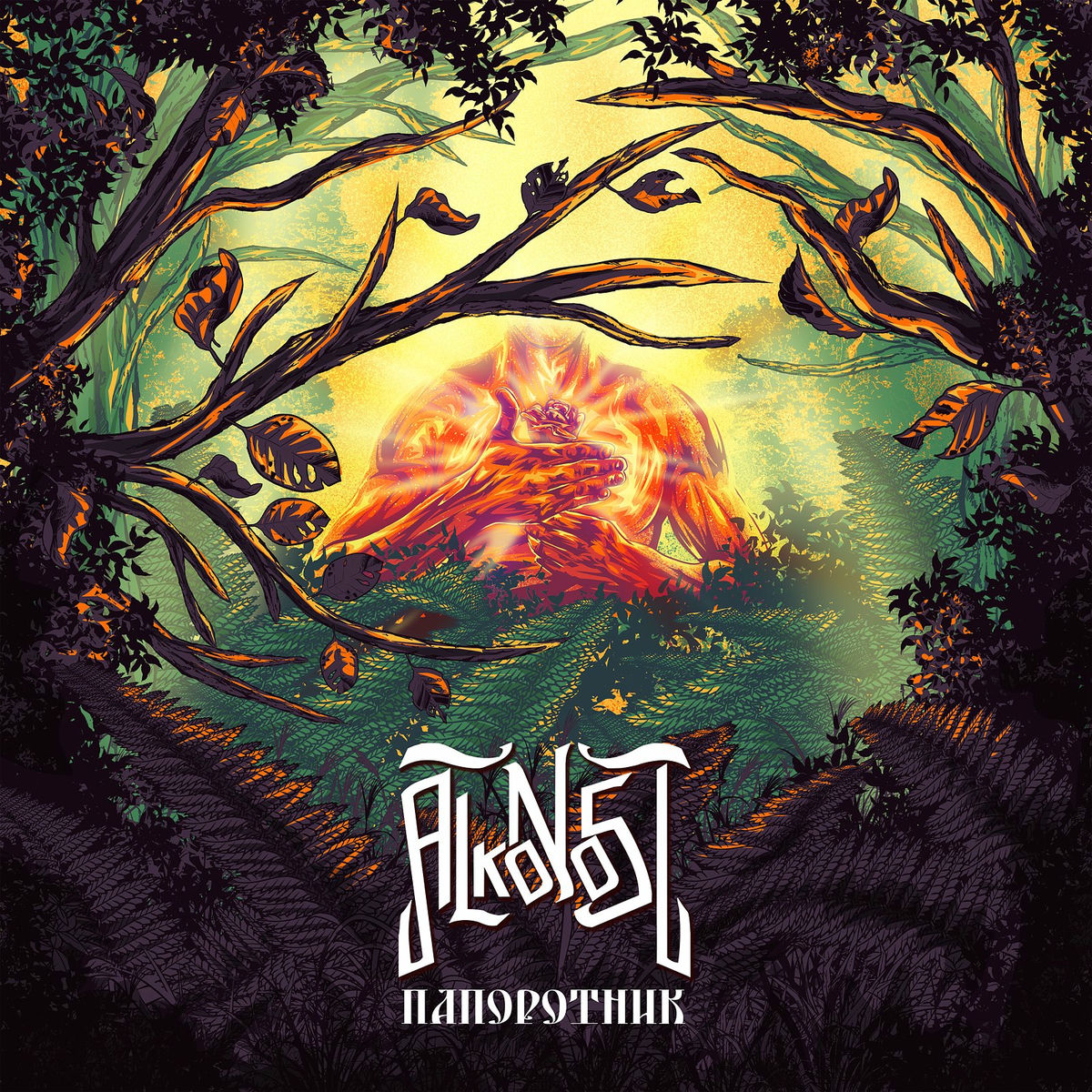 Album cover of Папоротник