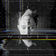 Selfie by Vald album cover