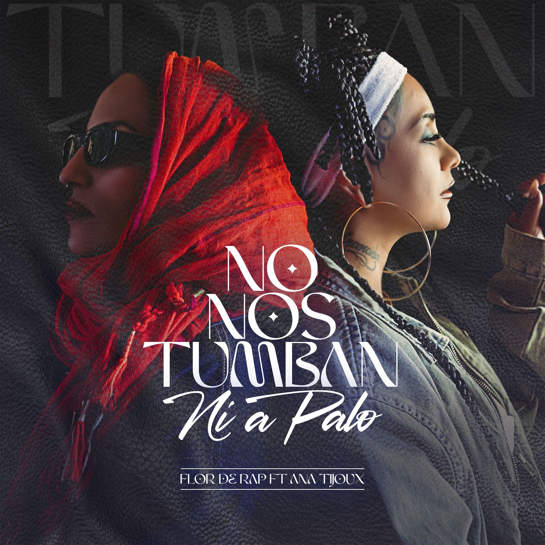 Album cover of No Nos Tumban Ni a Palo